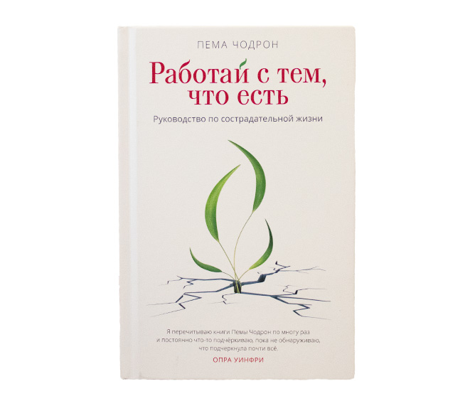 Работай с тем, что есть. Руководство по сострадательной жизни // Пема Чодрон