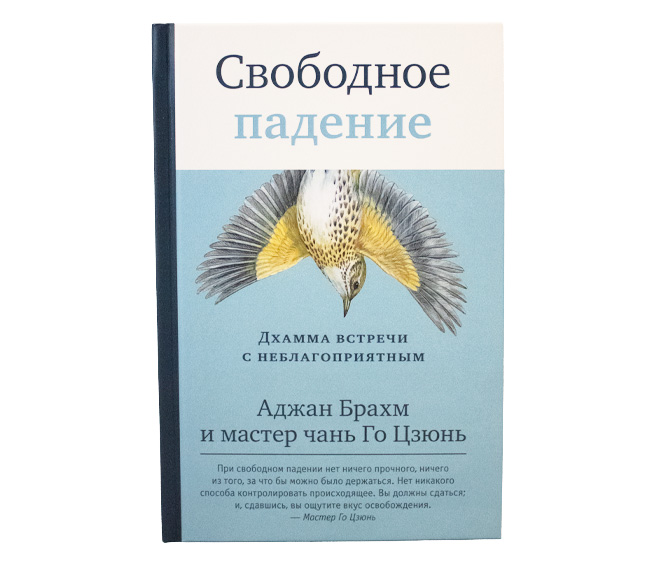 Свободное падение. Дхамма встречи с неблагоприятным // Аджан Брахм, Го Цзюнь
